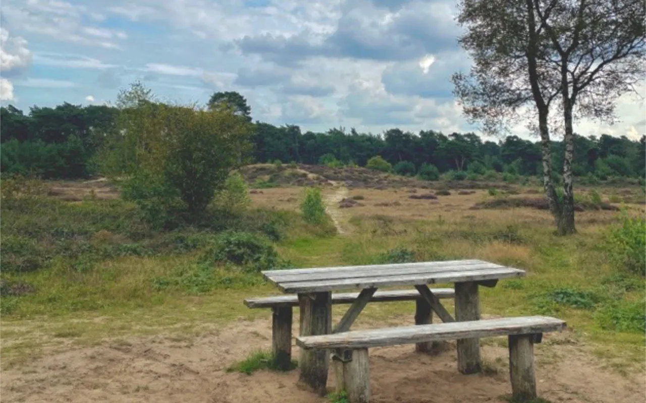 Picknick plezier: 5 beste plekken op de Heuvelrug