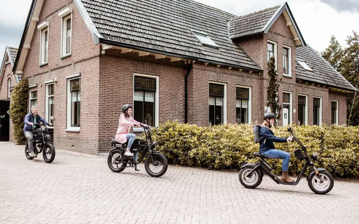 Ontdek de Utrechtse Heuvelrug